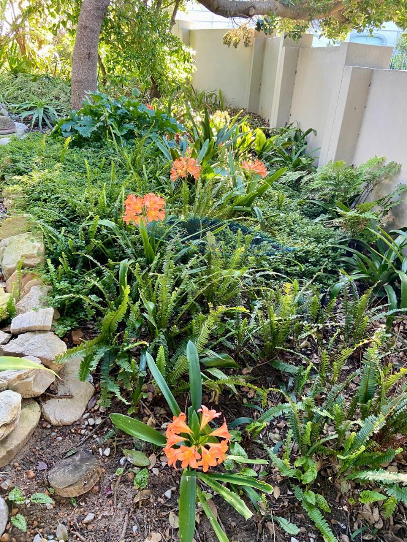 4 Bedroom Property for Sale in Vermont Western Cape